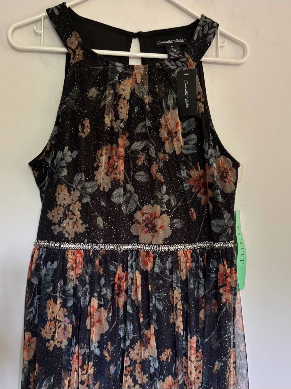 Candalite Sheer Floral Dress NWT
